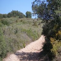 Photo de france - La randonnée de l'ancien refuge sur la colline